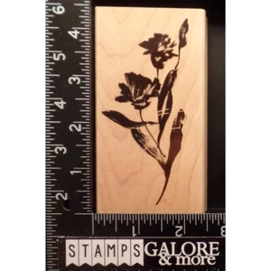 Penny schwarz Stempel 2831K NELKE GARTEN WEICH GEBÜRSTET BLUMEN #890 - Bild 1 von 2