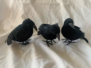 3x Black Crows Bird Halloween Tree Hanging Garden Props Decoration Ornaments - Picture 1 of 17