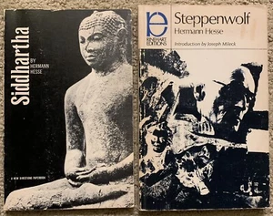 SIDDHARTHA & STEPPENWOLF BY HERMANN HESSE VINTAGE TRADE PAPERBACKS - Picture 1 of 12