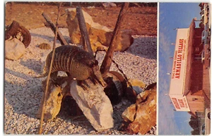 ARMADILLO VILLAGE Denison, TX artefactos indios carretera años 60 postal vintage - Imagen 1 de 2