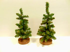 2 small decorative Pine Trees with wooden bases