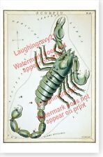 Scorpio Scorpius Constellation Star Chart 1825 Antique Astronomy Poster