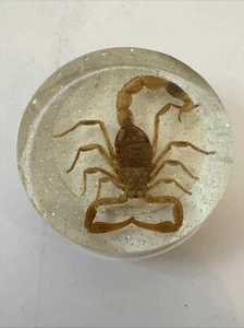 Scorpion Stinger Pogs slammer poker card Guard Aliens Rare Clear - Picture 1 of 5