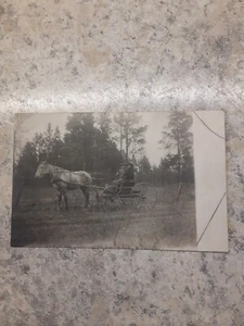 RPPC Anfang 1900 Paar, Pferd & Buggy - Bild 1 von 3