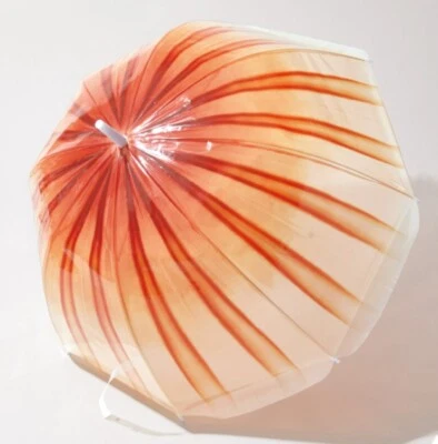 Dactylometra pacifica(Red jellyfish) Umbrella Japan Art Design Transparent New - Image 1 of 4