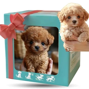 Roboter Welpe Realistischer Roboter Welpe Elektronisch Interaktiv Hund Gehen Bellen - Bild 1 von 1