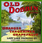Lady Lake Florida Old Dobbin Donkey Mule Orange Citrus Fruit Crate Label Print