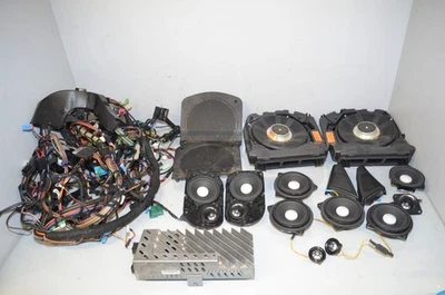 BMW F11 5 Serie Top HiFi Harman Kardon Sistema Soundsystem Set 9169688 9239147 - Immagine 1 di 4