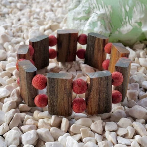Exotic Aetoxylon Agarwood Bracelet Nice Smell Gaharu Buaya Genuine Sea Coral #02 - Picture 1 of 4