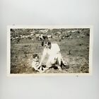 Photo femme aidant à blesser garçon années 1920 cheval ranch jupe jolie femme agricultrice A3670