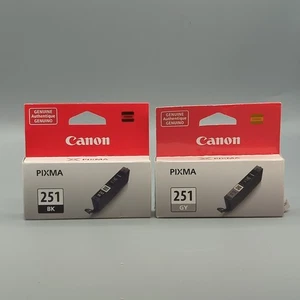 2 Original Canon Pixma 251 BK Schwarz & 251 GY Grau Tintenpatronen Neu Versiegelt - Bild 1 von 8