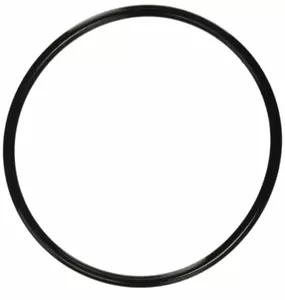 Replacement O-ring for 350013, Pentair Challenger Whisperflo, 1 Pack - Picture 1 of 2