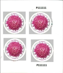 1 #5460 GLOBAL FOREVER CHRYSANTHEMUM PB OF 4. BIN $7.50. - Picture 1 of 1