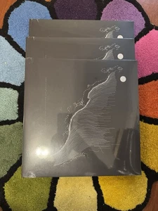 QUADECA Vanisher Horizon Scraper Black Cover Silver Vinyl 2LP /1500 IN HAND 🆕 ✅ - Picture 1 of 7
