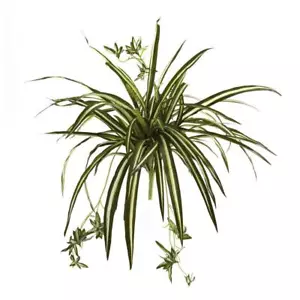 Nearly Natural Artificial Spider Plant 23" Decorative Versatile Plastic Green - Picture 1 of 4
