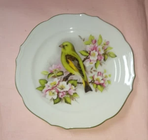 Zierteller mit hübschem Vogelmotiv ( Winterling Röslau) - Bild 1 von 4
