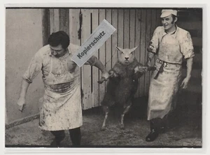 2 Männer führen Schaf zur Schlachtbank  Fotokarte A, ABEGG , Edition A,Gaillard - Picture 1 of 2