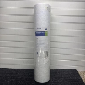 Filtro de agua de sedimentos azules grandes Pentair Pentek DGD-5005-20 20 pulgadas para toda la casa... - Imagen 1 de 10
