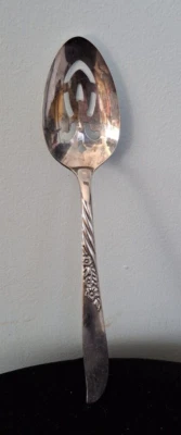 Cuchara para servir perforada plateada ~ madera silvestre/siempre ~ Wm A Rogers ~ Oneida Ltd ~ sin mono Foto 1 de 4