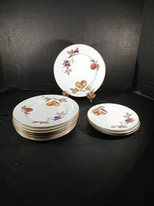 Royal Worcester Evesham Gold 8 1/4" Salad Plates Set of 8 &3 Breadpl  Never Used - Picture 1 of 8