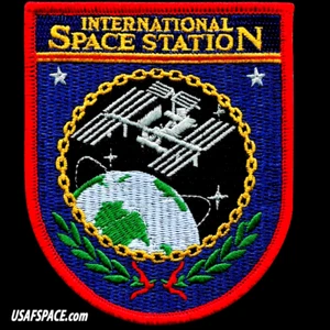 ISS INTERNATIONAL SPACE STATION NASA USAF ORIGINAL AB Emblem SPACE PATCH - Picture 1 of 4