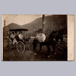 RPPC - Familienausflug während einer patriotischen Feier - Kutsche geschmückt mit... - Bild 1 von 3