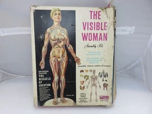 Renwal THE VISIBLE WOMAN Assembly Model Kit **BUILT-PARTS PAINTED** Vintage - Picture 1 of 8