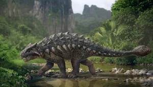 Ankylosaurus DINOSAUR POSTER 24 X 18 Inches NICE! - Picture 1 of 2