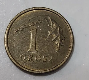 POLAND 🇵🇱 ONE (1) GROSZ COIN 2005 - Picture 1 of 2