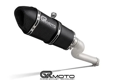 Exhaust for BMW F 900 F900 R XR 2020 - 2025 GRmoto Carbon - Image 1 of 4