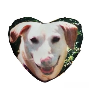 Pet Dog Photo Pillow Labrador Retriever Heart Plush Cushion Removable Pillowcase - Picture 1 of 9