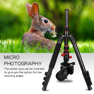 Zomei Professional Tripod Monopod BallHeadFor Canon Nikon Sony Digital Camera M5 - Picture 1 of 12