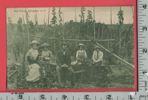 E639 foto immagine Springfield NY raccoglitori di luppolo 1913 cartolina Jacob Lang Delmar NY - Foto 1 di 2