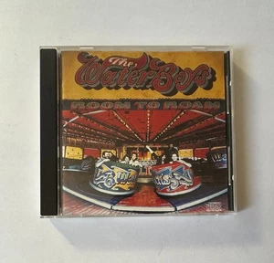 THE WATERBOYS Room to Roam | 1990 Ensign/Chrysalis CD - VG+ - Picture 1 of 3