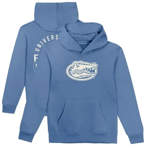 Toddler Royal Florida Gators Team Banner Fleece Pullover Hoodie - Picture 1 of 3