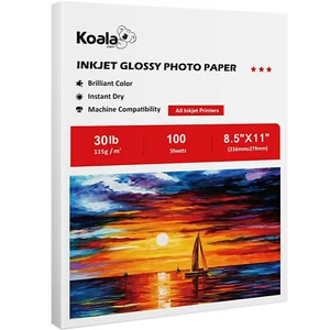 100 Sheet Koala Thin Photo Paper 8.5x11 Glossy 30lb 115g Inkjet Printer Chip Bag - Afbeelding 1 van 11
