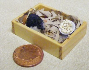 Dolls House Guinea Pig At Home In A Box With Food 1:12 Scale Miniature tumdee - Picture 1 of 6
