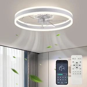 Ceiling Fan with Light, Upgraded 20‘’ Low Profile Fan, Flush Mount Ceiling Fan, - Picture 1 of 7