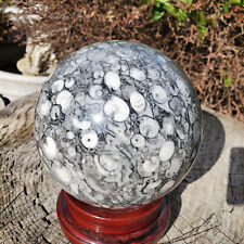 13lbs+ Crinoid Fossils Crystal Sphere 5940 Grams | 13lbs 2oz | 162 mm
