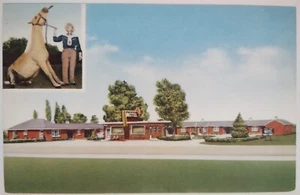 Vintage Postkarte Buzz's Deluxe Motel York Nebraska am Straßenrand - Bild 1 von 2
