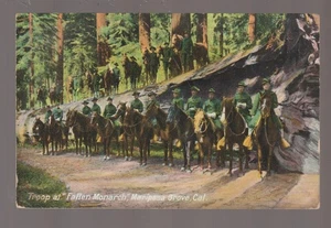 Mariposa Grove CALIFORNIA 1910 SOLDIERS Posing Cavalry GIANT SEQUOIAS Monarch B2 - Picture 1 of 2