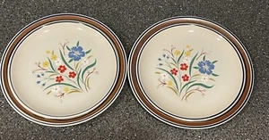 2 SALEM STONEWARE Georgetown Floral 10” Dinner Plates Handcrafted Made in USA - Picture 1 of 6