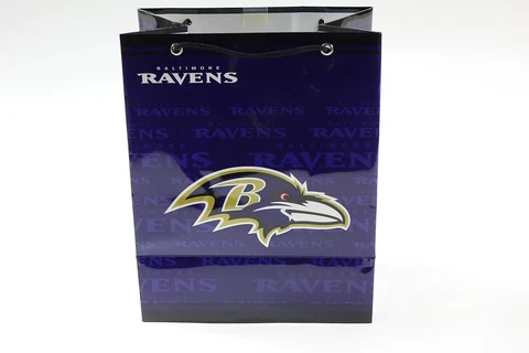 NFL Baltimore Ravens Gift Bag, Medium Cover