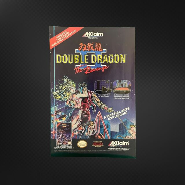 Double Dragon II The Revenge Game Box Art Poster 17x24 Nintendo