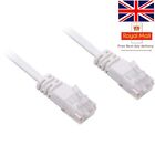 Cat 6 Flat Ethernet Network Lead Lan Patch Cable Rj45 For Ps4/Xbox Tv Wholesale