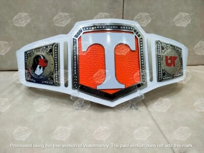 Cinturón Campeonato Nacional VOLS la Universidad Adulto Talla 2mm Latón Foto 1 de 4