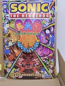 SONIC THE HEDGEHOG'S 900TH ADVENTURE - 1:50 GRAY VARIANT - 2023 IDW NM! - Picture 1 of 8