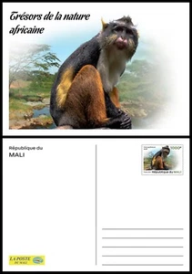 MALI 2024 - STATIONERY CARD - TREASURES OF NATURE - MONKEY MONKEYS APES APE - Picture 1 of 1