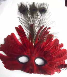 Feathered Red & Black Mask - MARDI GRAS MASQUERADE PARTY EYE MASK - HALLOWEEN - Picture 1 of 3