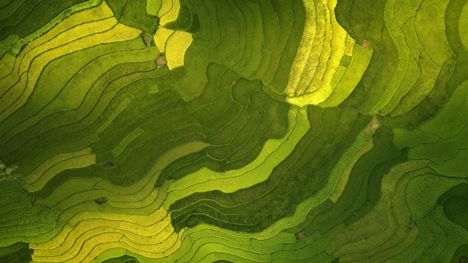 Dvořák: String Sextet, A Ma. Op. 48 / Stg Quintet, Op. 1; Berlin Philharmonic Oc - Image 1 of 1